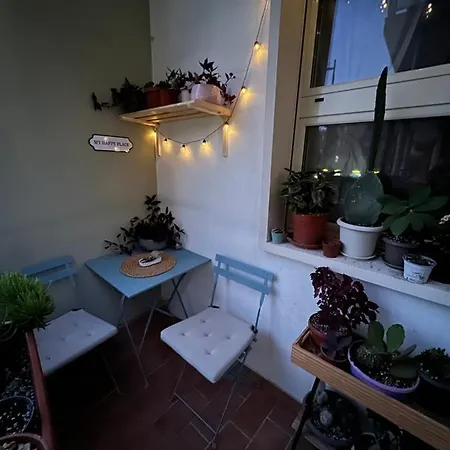 The Andrea's Homestay *